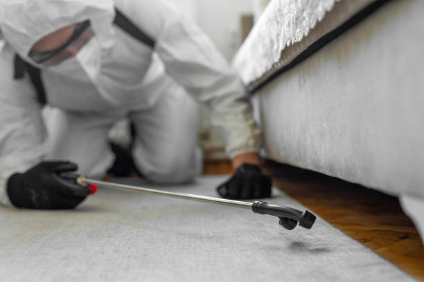 Professional Wasp Control technician working in Orchard Grass Hills, KY