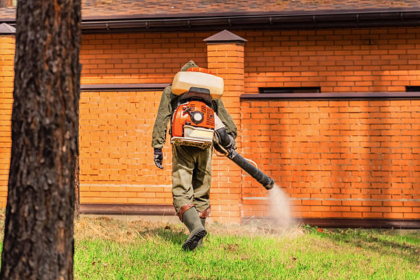 Trusted Rodent Control service in Orchard Grass Hills, KY - Nex Pest Control